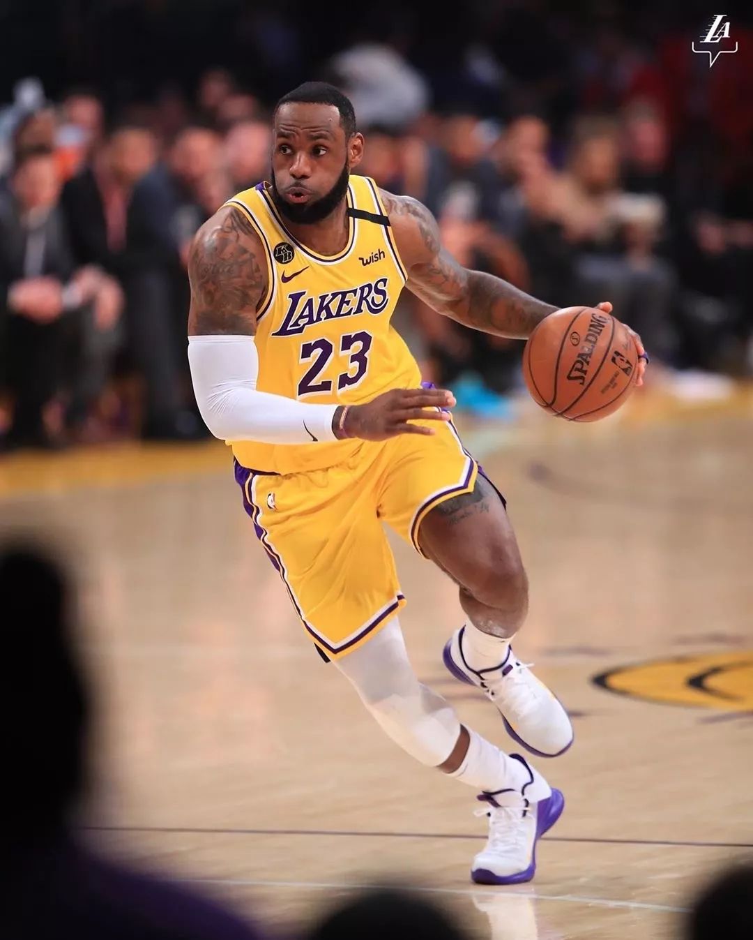 泰山纪念建队32周年，队史5次夺顶级联赛冠军，8次足协杯冠军（泰山队庆祝成立32周年：队史5夺顶级联赛桂冠、8捧足协杯）